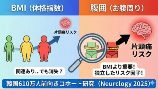 肥満は片頭痛の発症リスクを上げる? 〜韓国での前向きコホート研究が示した腹囲の重要性〜