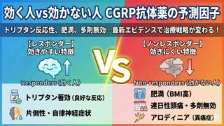 抗CGRP関連抗体薬は誰に効く?レスポンダーの予測因子を最新メタ解析で総まとめ